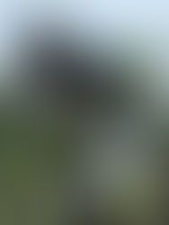 Cierran la campaña 2018