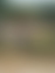 Las inundaciones en Pakistán dejan al menos 28 muertos y más de 1,4 millones de afectados