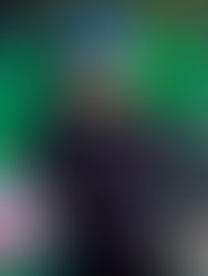 Altamirano fuera de Gallos