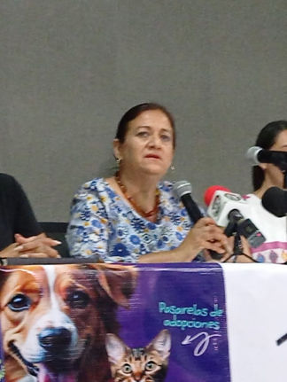 Llaman a participar en el “Croquetón” para aliviar la crisis animal en Tuxtla
