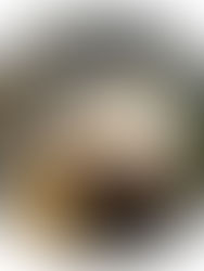 La Columna: Decisión aventurada