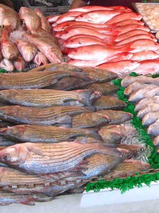 Precios de pescados van desde 30 pesos el kilo en esta temporada