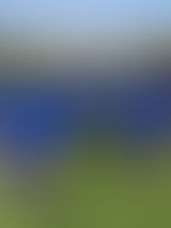 San Luis rompe filas