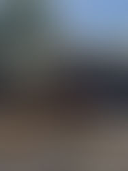 Más de cien desaparecidos tras las inundaciones en Texas, que dejan 133 muertos