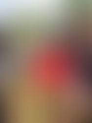 Advierte experto sobre año más peligroso para migrantes