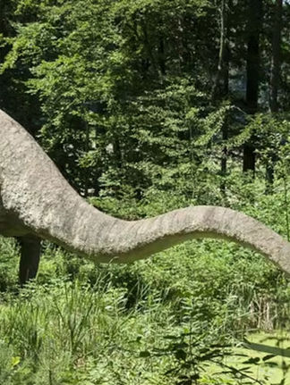 Los grandes dinosaurios y los mamuts eran más lentos de lo que se pensaba, según un estudio