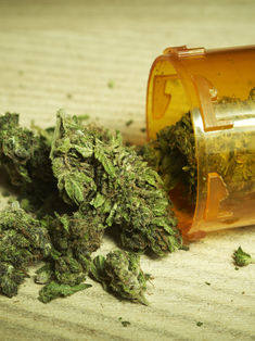 Piden a Cofepris buscar expedientes de permisos para uso de cannabis