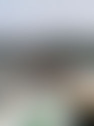 Pide Unión de Pequeños Propietarios usar los recursos hídricos de formas libre y responsable