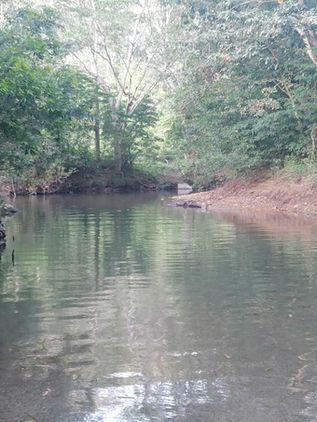 Por protección de especies, prohíben pesca en río Sabinal