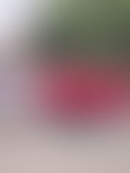 Sindicato Ferrocarrilero, da la bienvenida a la Presidenta Claudia Sheinbaum