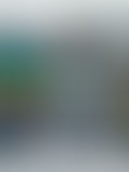 Explosión de vehículo en frontera EU-Canadá no muestra "indicios de ataque terrorista"