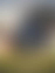 Despiden a Paul Aguilar