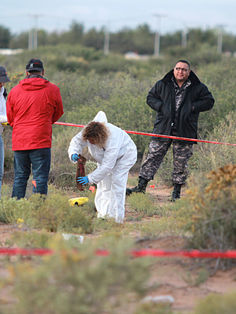 En Ciudad de México son asesinadas cuatro personas por día en promedio