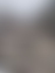 Pide ONU cese de hostilidades en Siria o COVID-19 será devastador