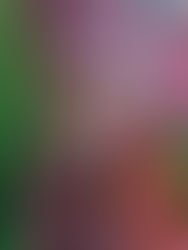 La aventura de ser mamá: Adiós terribles 3, ¿y ahora qué sigue?