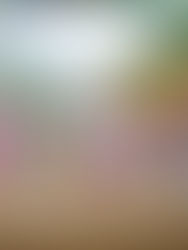 En Chalchihuitán, Rutilio Escandón inaugura camino Tzacucum-Balunaco y puente Tzacucum-Lobolaltik