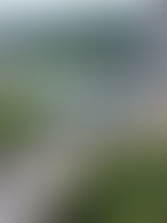 Reforzarán seguridad en La Concordia con tecnología de vanguardia