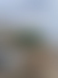 Tabuladores de materiales para construcción podrían favorecer a constructores 