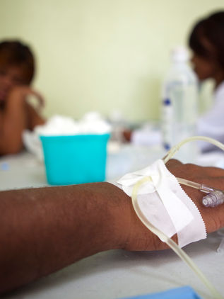 Descubren la estructura de una proteína del chikungunya clave para replicarse