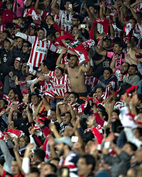 Abren aunque salgan perdiendo