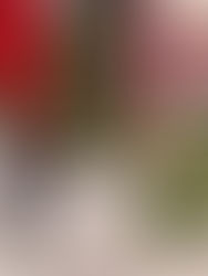 Exsenador haitiano recibe en EU cadena perpetua por magnicidio de Jovenel Moïse