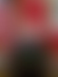 Biden finaliza su primera visita oficial a Canadá con un acuerdo migratorio