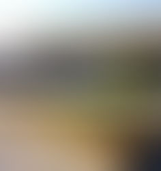 Disminuye presencia de turismo, exponen empresarios