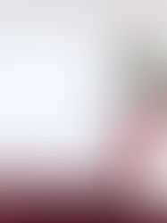 Sheinbaum presenta plan ‘México te abraza’ y pide a migrantes “guardar la calma” ante llegada de Trump