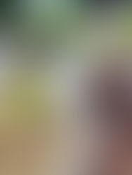 Banco de México reconoce inflación de mayor magnitud y duración a lo previsto