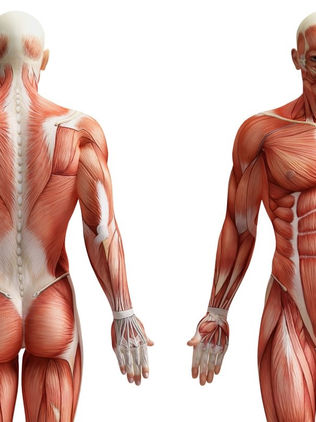 Una tela lavable mide la actividad eléctrica de los músculos