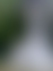 Impresionantes Caídas de Agua en el Cañón del Sumidero Tras Intensas Lluvias