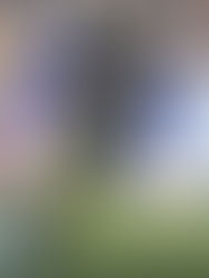 Anderson dice adiós a su carrera