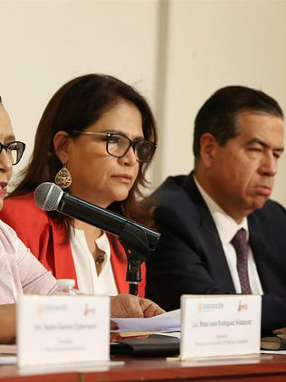 Gobierno federal pide investigación "sin dudas" en feminicidio de Debanhi