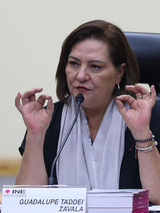 Rechazan 62.552 solicitudes de observadores para elección judicial 