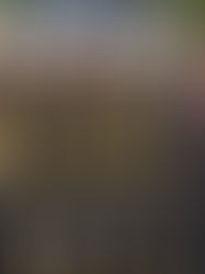 Rusia sigue sin poder expulsar a los ucranianos de Kursk pese a los ataques intensificados