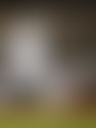 Rivera encabeza la papeleta