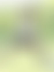 Cafetaleros a buscar talento en casa