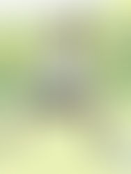 Cafetaleros a buscar talento en casa