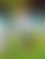 El Tottenham conquista Dortmund