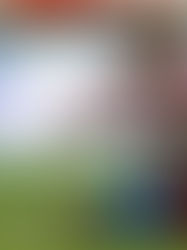 Macías baja tres semanas