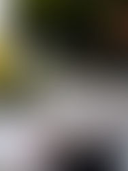 Manifestantes en Ciudad de México denuncian desalojos acelerados por el Mundial