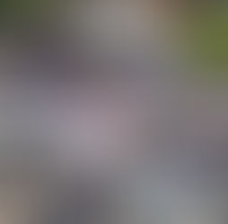 Transportistas reconocen al gobernador por acciones a favor del sector