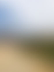 Se han tomado acciones por asentamientos irregulares en San Fernando 