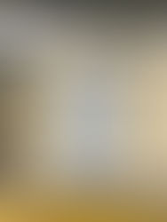 Chiapas, beneficiado con “miniviviendas” para enfrentar la pandemia