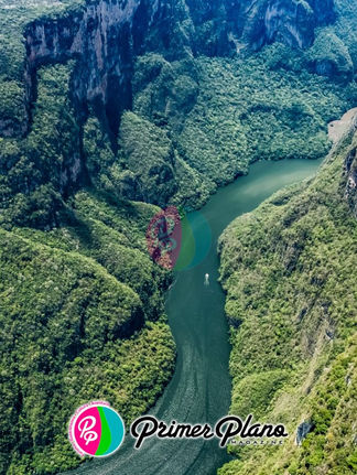 Cañón del Sumidero, un viaje entre historia geológica y biodiversidad viva