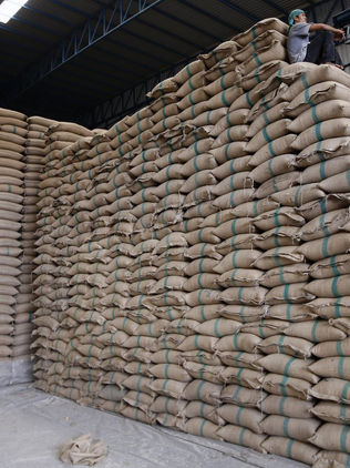 El arroz palay argentino ingresa al mercado mexicano