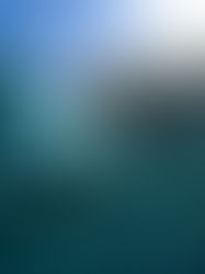 La gigantesca Isla de basura en el Océano Pacífico que ya es más grande que Perú y Ecuador