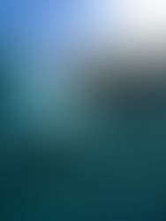 La gigantesca Isla de basura en el Océano Pacífico que ya es más grande que Perú y Ecuador