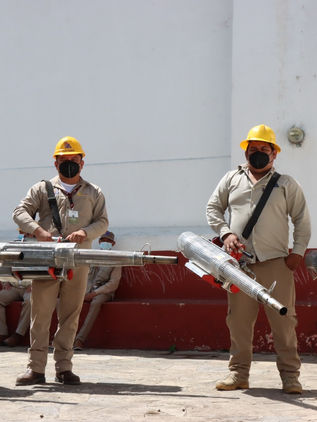 Chiapas se encamina hacia la eliminación del paludismo