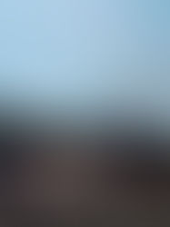 Los selfis impertinentes en la tragedia del volcán español de La Palma